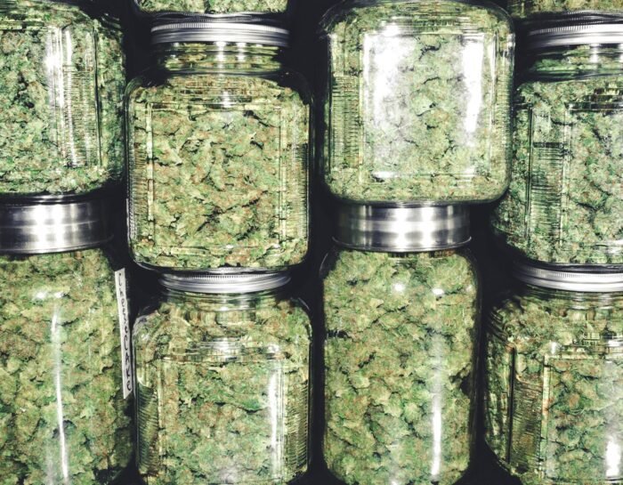 Navigating Programmatic Advertising for Cannabis Businesses in a Regulated Digital Landscape
