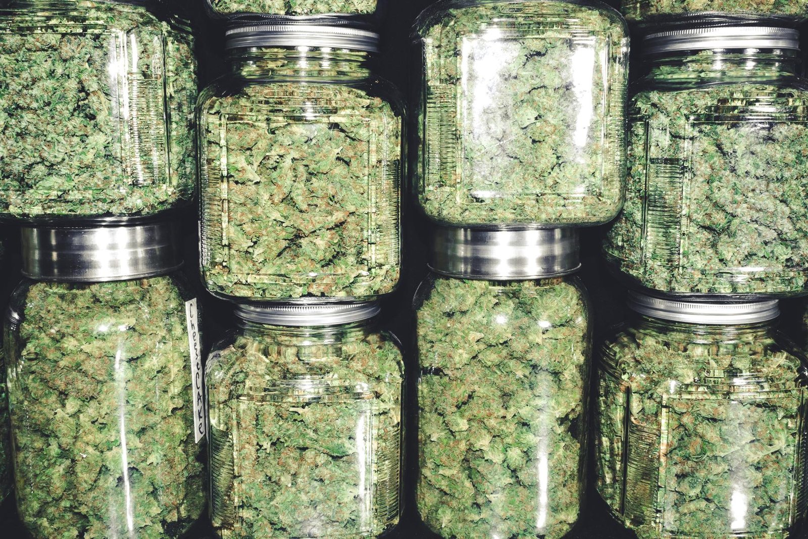 Navigating Programmatic Advertising for Cannabis Businesses in a Regulated Digital Landscape